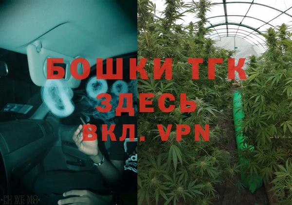 ГАЛЛЮЦИНОГЕННЫЕ ГРИБЫ Арсеньев