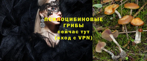 прущие крисы Армянск