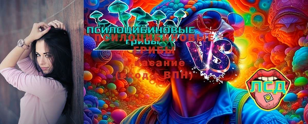 ГАЛЛЮЦИНОГЕННЫЕ ГРИБЫ Арсеньев