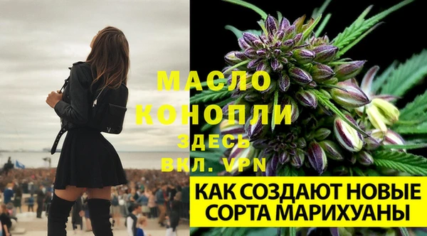 ГАЛЛЮЦИНОГЕННЫЕ ГРИБЫ Арсеньев