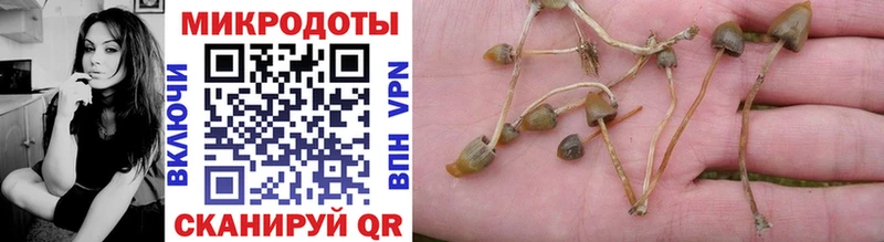 Галлюциногенные грибы мухоморы  Шахунья 